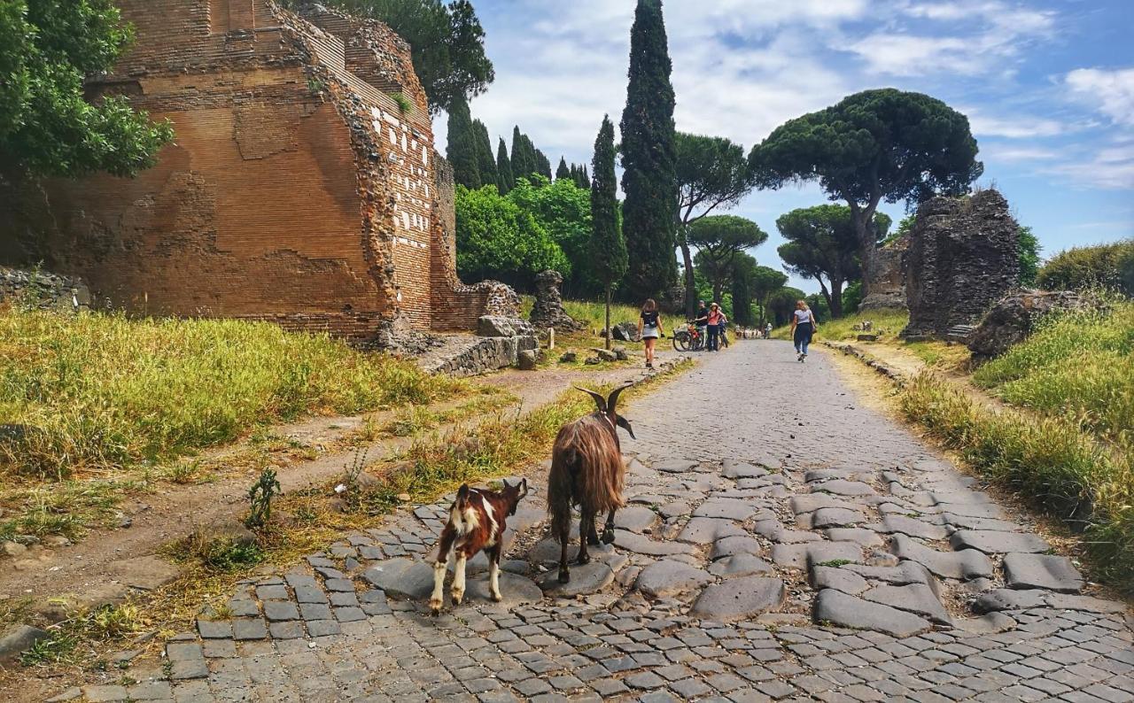 Casa Katiuscia Casa de Férias Roma